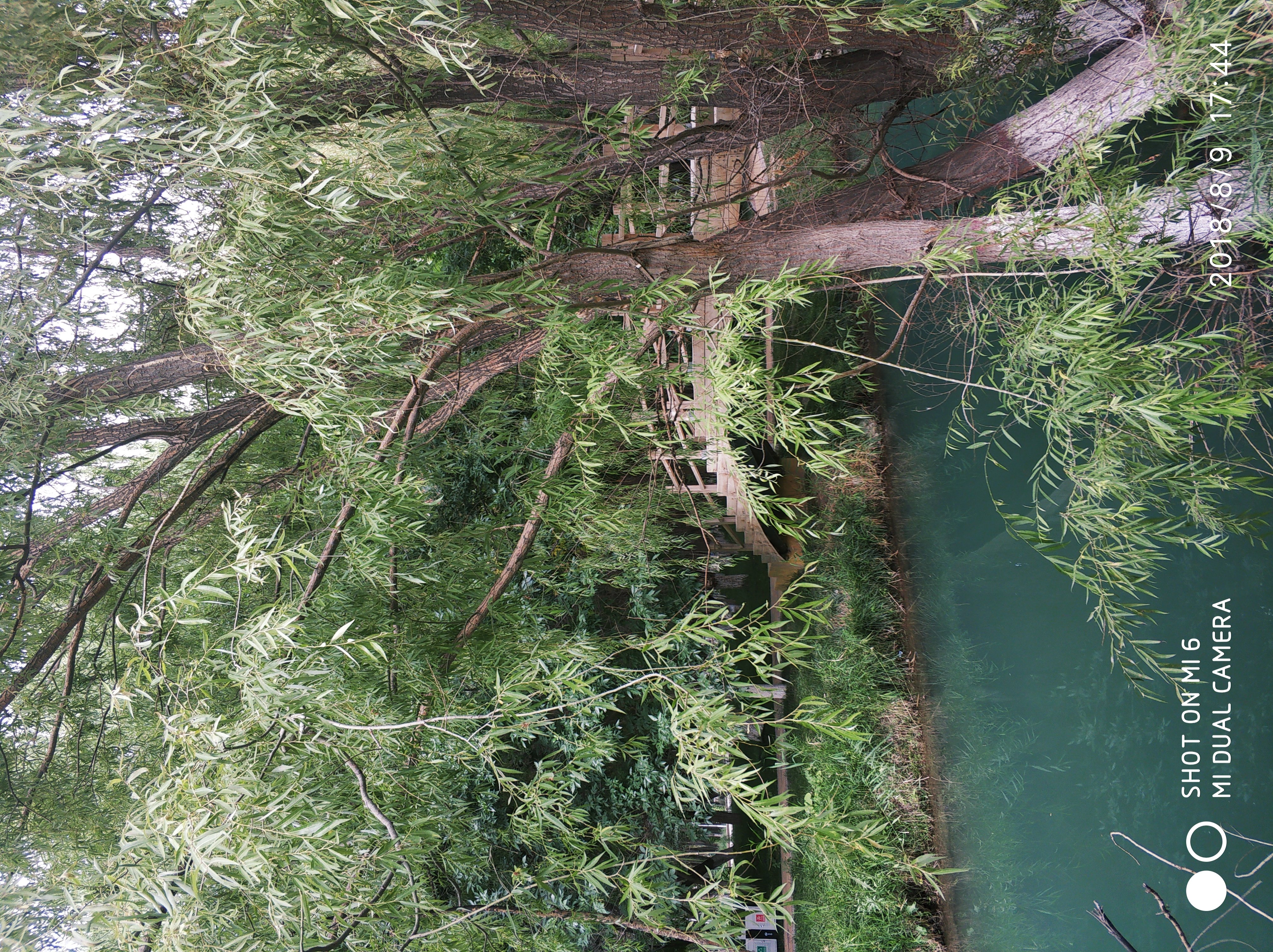 新疆乌什县九眼泉公园