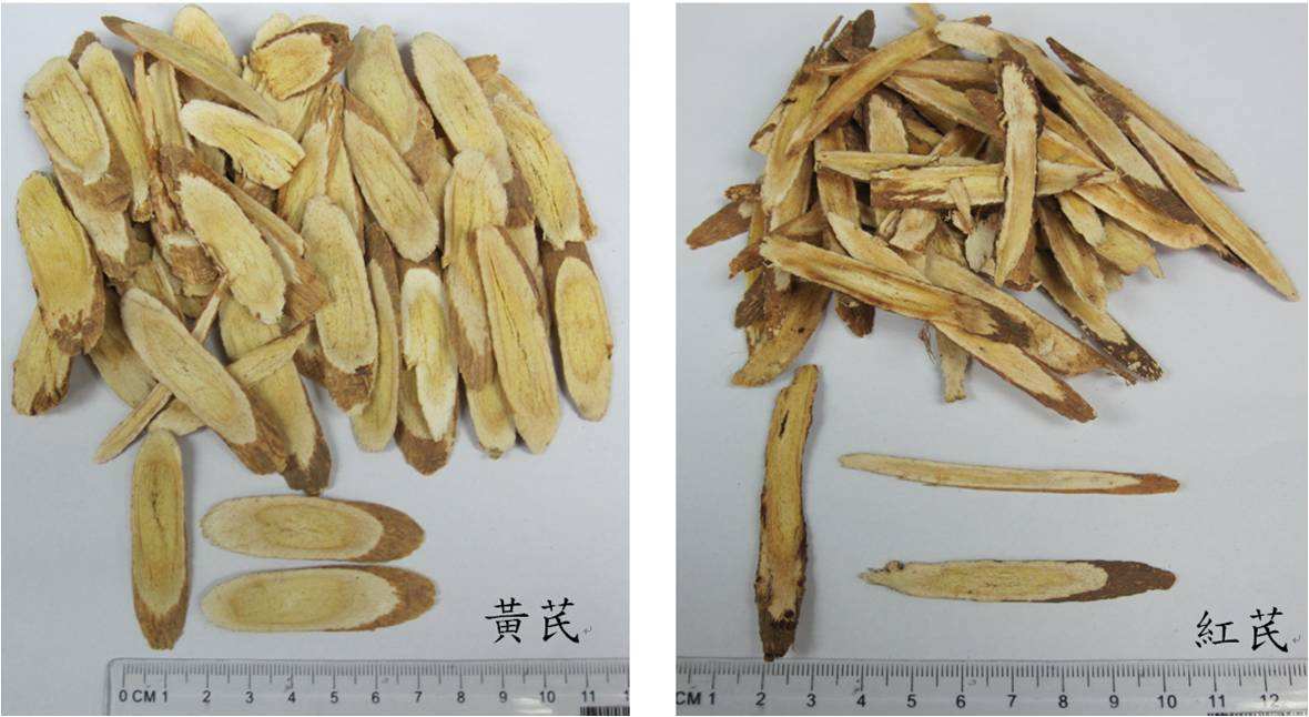 黄芪和红芪有何区别?功效一样吗?