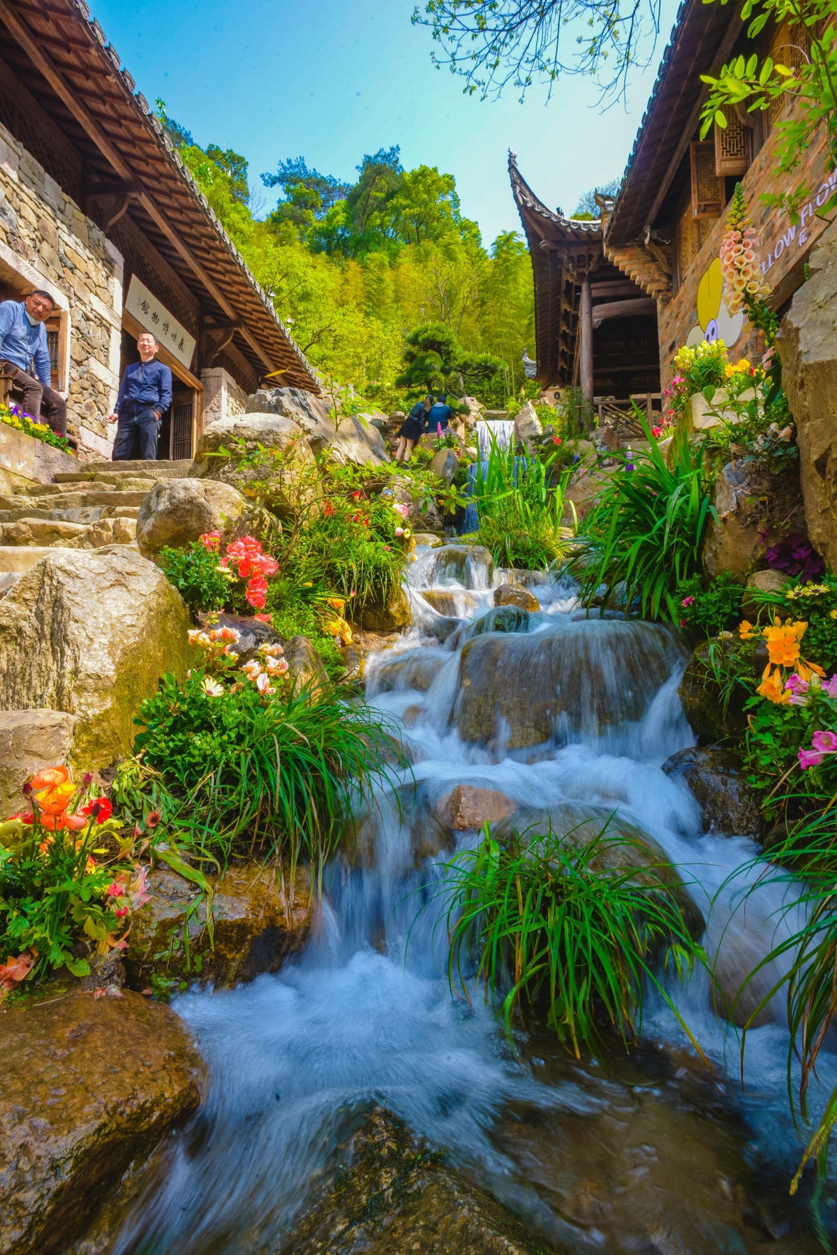 婺源篁岭鲜花小镇4.0盛装上线