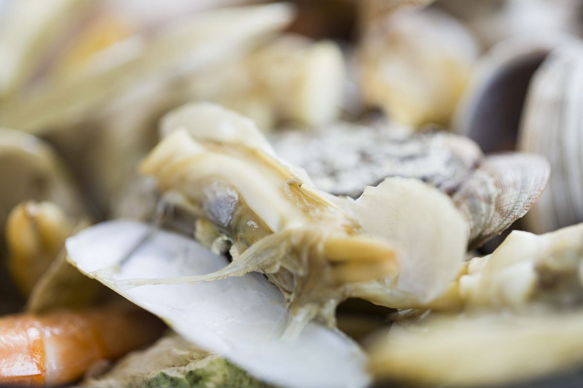 海鲜焖子是大连一道非常有名的特色菜,属于大连名菜,也是鲁菜系列中的