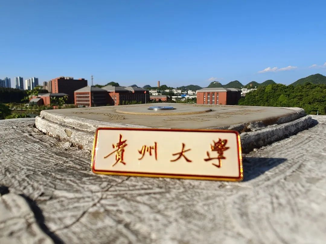 贵州大学2024录取分数线是多少