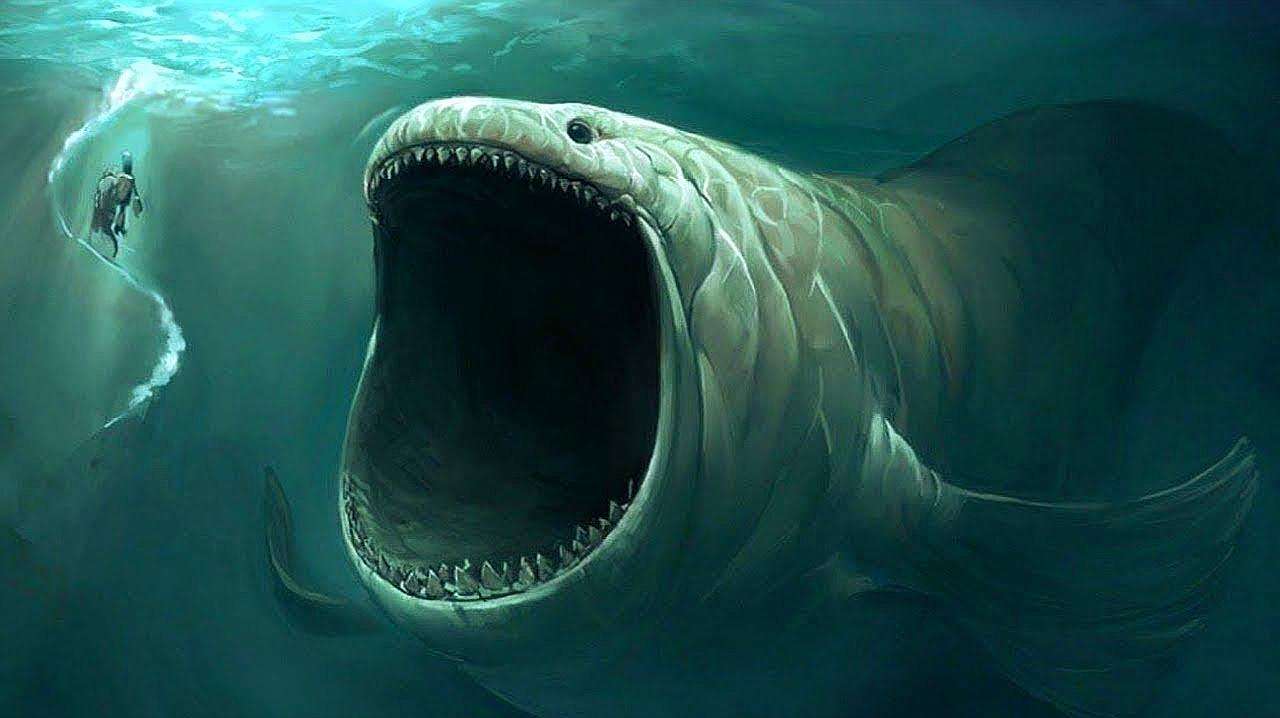 28年仅出现过3次!神秘消失的青海湖"水怪"是何生物,仍是个谜