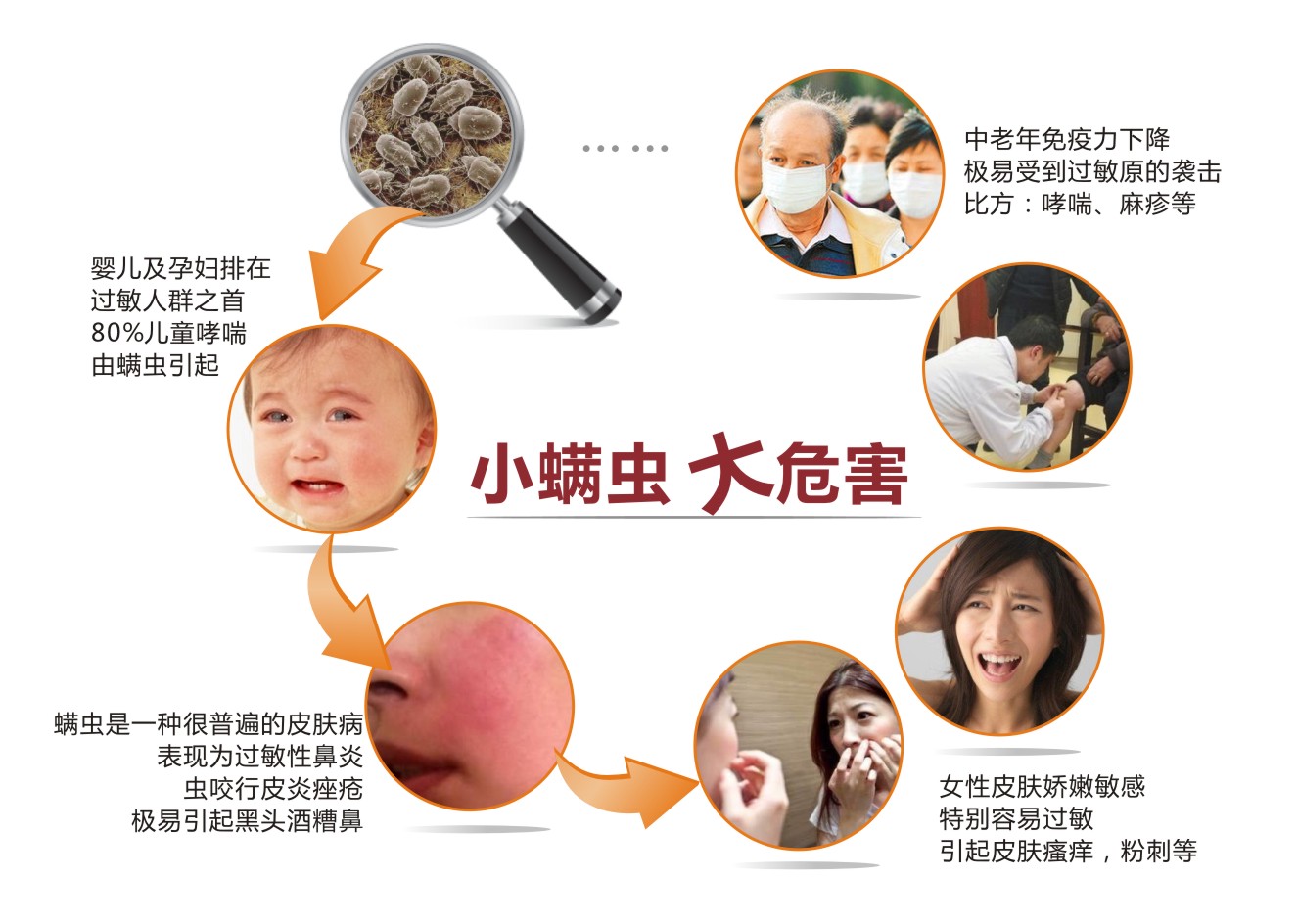 战痘宣颜丨螨虫是什么