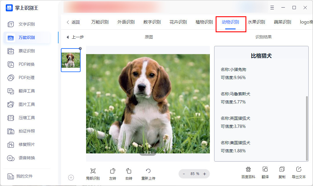 动物识别软件有哪些?这几个你一定要收藏!