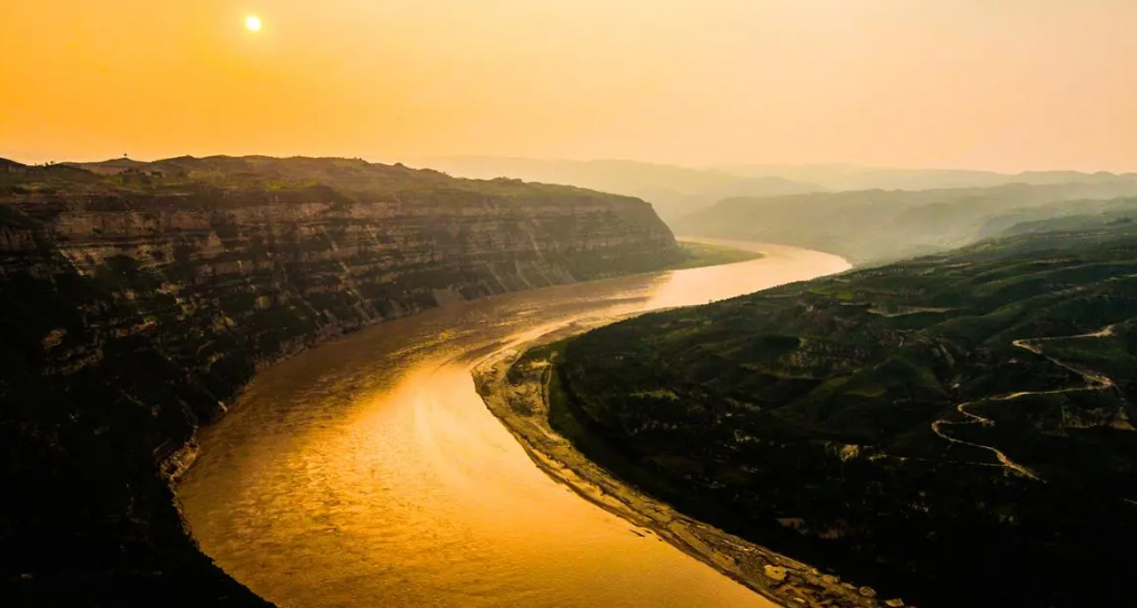 传闻:黄河白蛇搁浅堤坝,被挖掘机斩杀,包工头因此付出惨痛代价