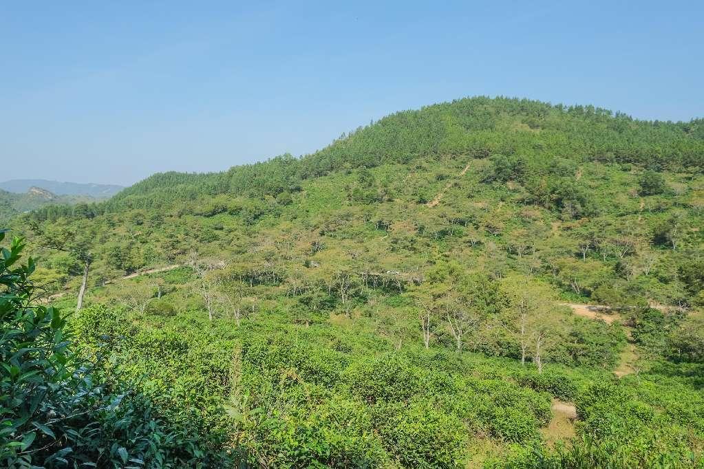 展讯丨以茶会友以茶彰文温国刚入选北京地铁《艺脉相承》主题巡展