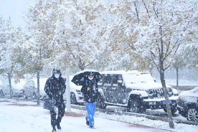 长春市人民大街雪景图片