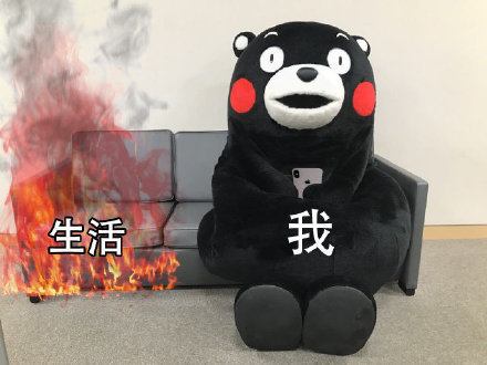 「新闻集锦」老王时事辣评:十元盒饭姐流泪称不想再坚持