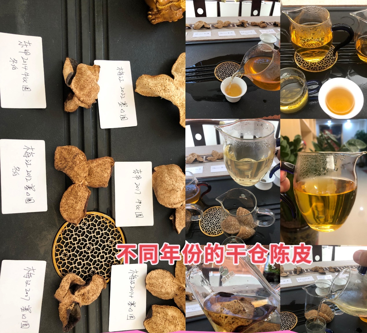 陈皮粉末显微鉴别图图片