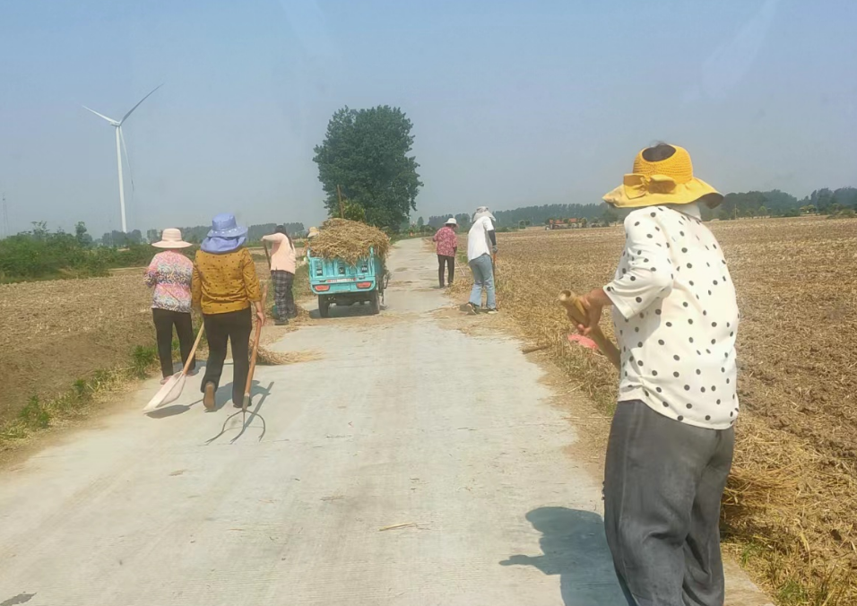 安徽省亳州市利辛县汝集镇:田间地头禁烧忙 "五边"清理不打烊