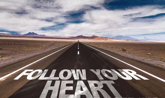 大雅开福|孙一娜《战士》(歌曲)