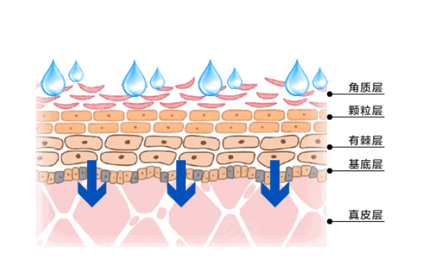 水光针注射层次 图解图片