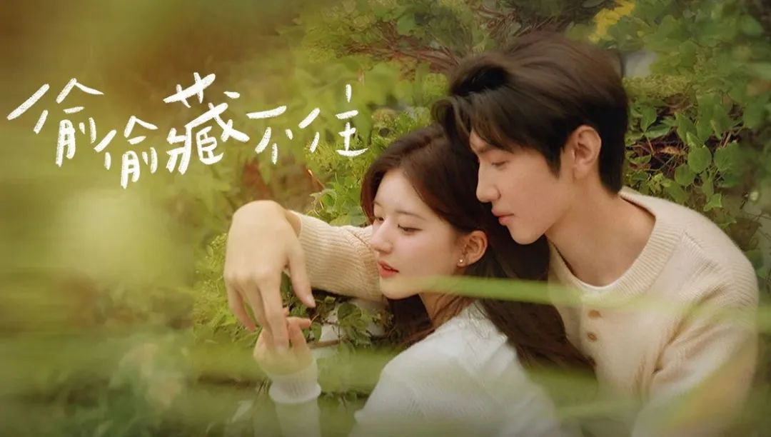 《偷偷藏不住》自从上线以来一直热度居高不下