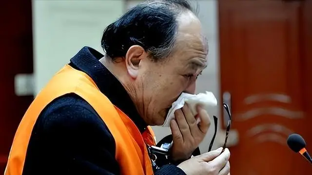 纪实:安徽巨贪杨先静:包养情人贪千万,被捕后痛哭:给一次机会