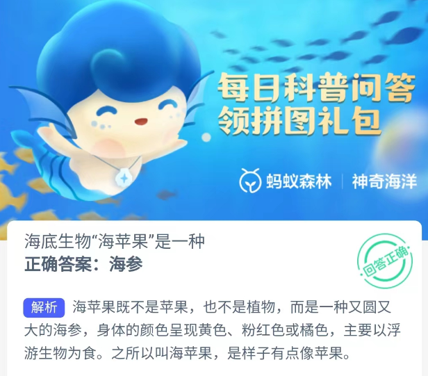 海底生物"海苹果"是一种什么?蚂蚁森林神奇海洋