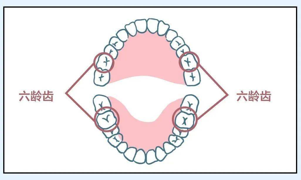 儿童口腔护理该怎么做?警惕20大危害禁忌