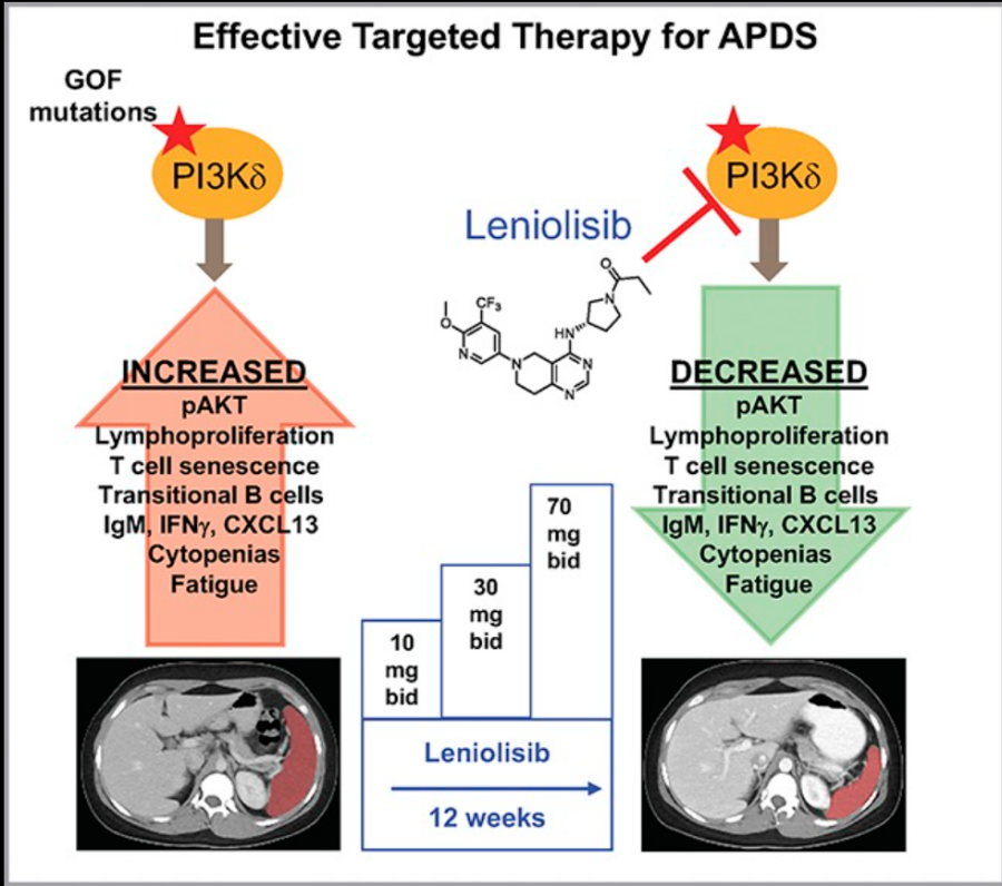 罕见疾病apds首款特效药通过fda审批