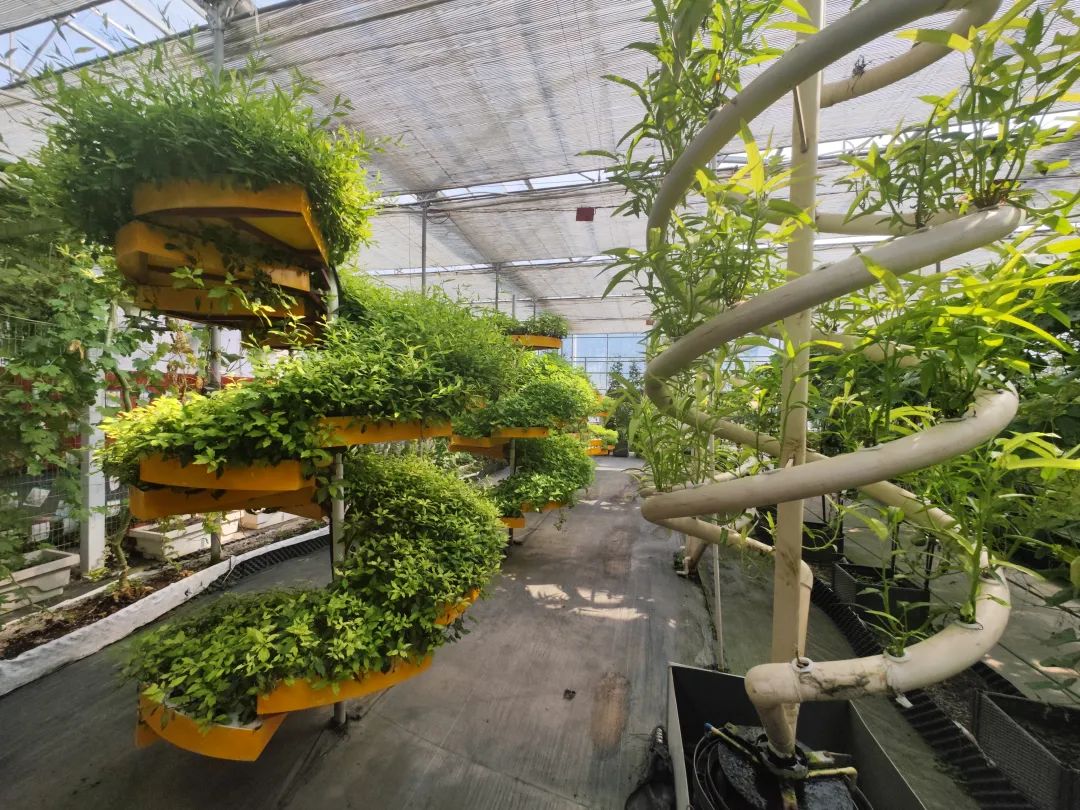 「科文旅研学副中心」第四站:参观北京国际都市农业科技园