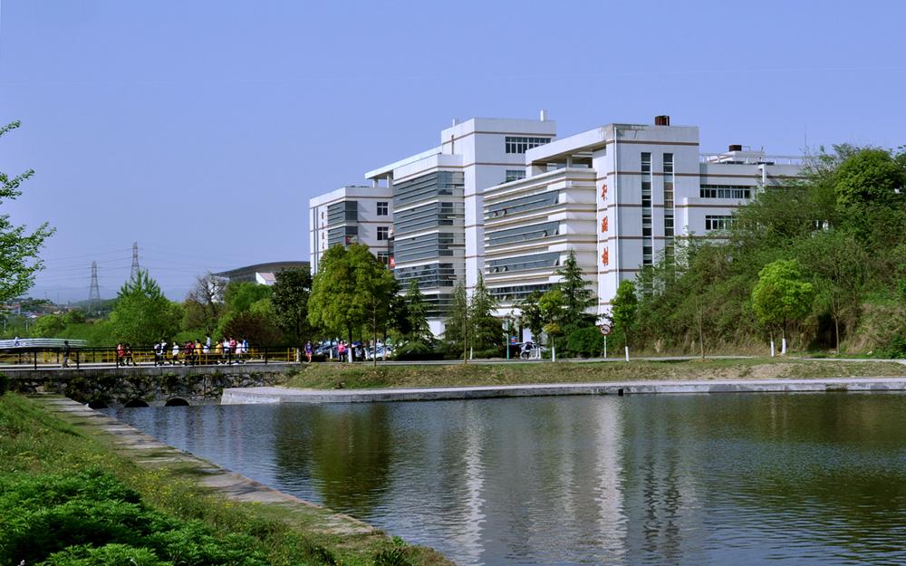 国家电网(湖北)2023录取人数,三峡大学131人,武汉大学42人