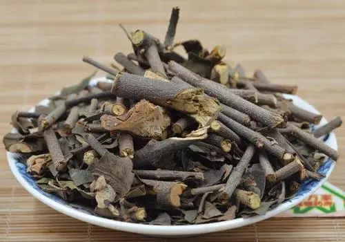 腰沉,腰酸,腰痛,腰突,活动受限?试试这味中药,帮你养腰椎