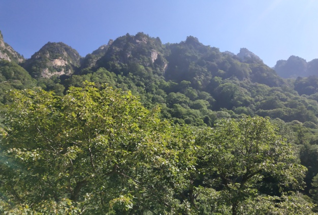 宝鸡太白旅游（宝鸡太白旅游景点保举
）《宝鸡太白旅游景点有哪些》