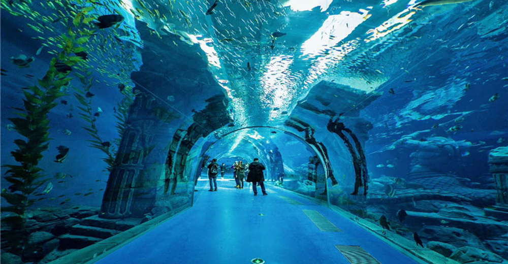 惊险!哈尔滨波塞冬海底世界演出意外,杂技演员坠落倒地!