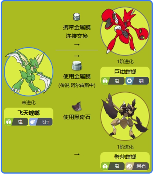 巨钳螳螂特性图片