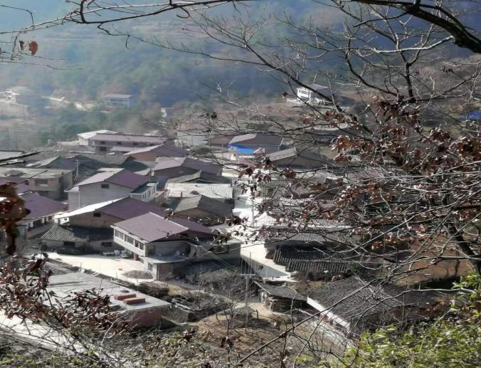 宁强县禅家岩镇崔家梁崔姓迁移故事大揭秘