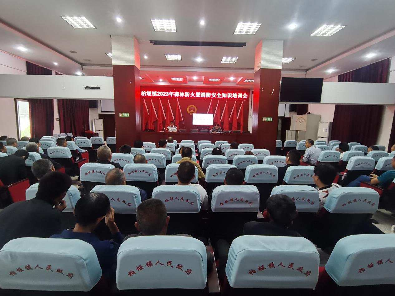 阆中市柏垭镇开展综合应急演练