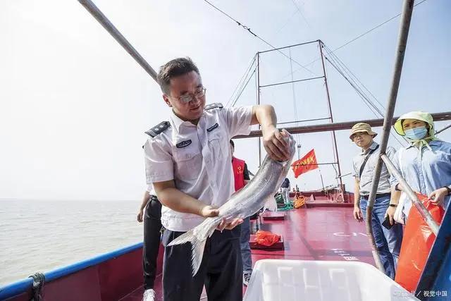 这7类事业单位,今后将调整为"公务员",铁饭碗更"铁"了!