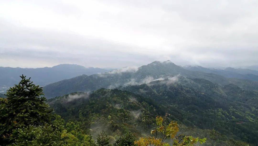 长汀县松毛岭旅游景点图片