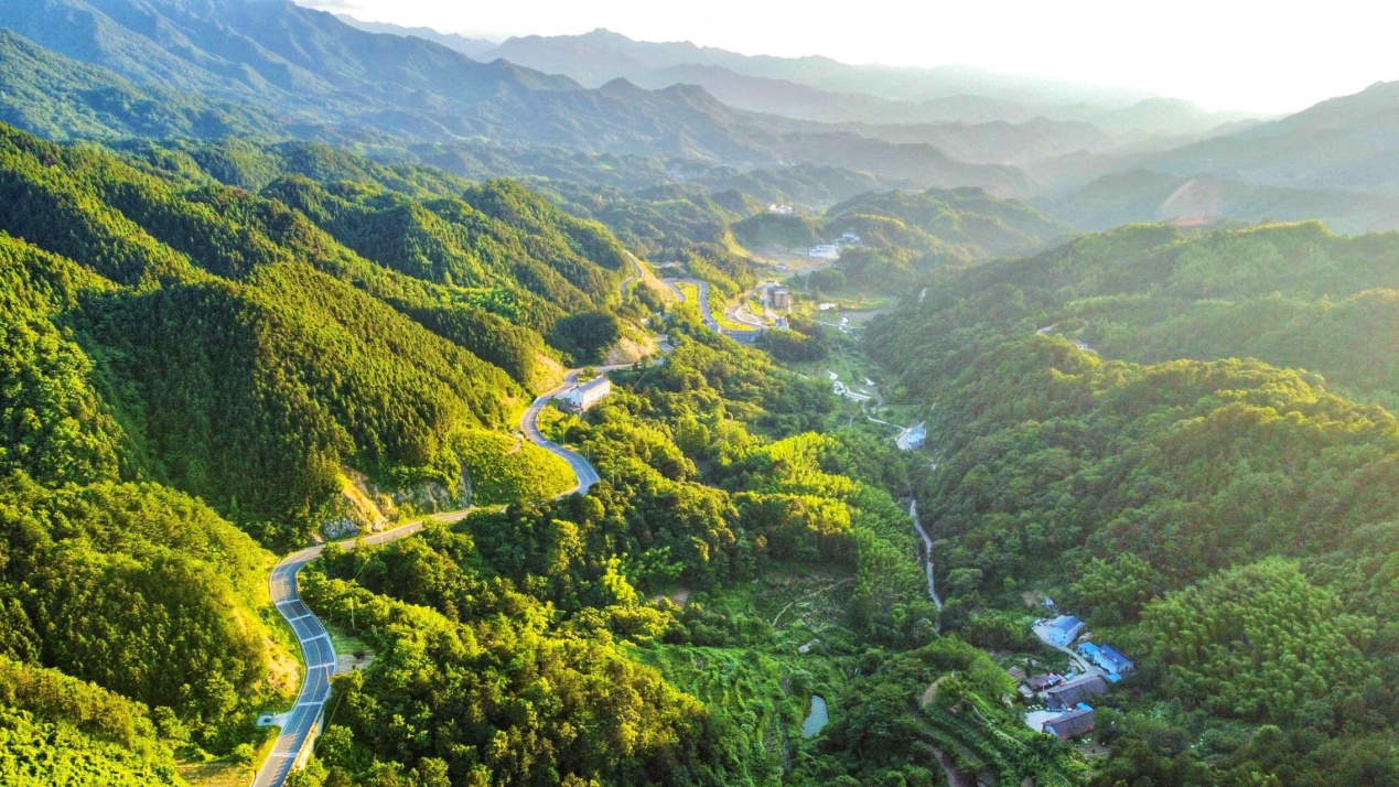 清凉避暑游,六安大别山风景道望九重观景,九仙尊仙草谷寻仙草