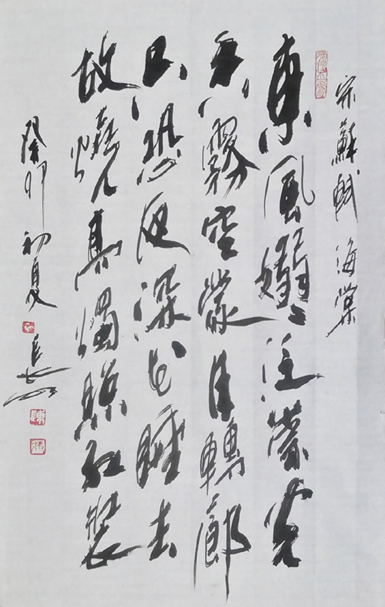 「书写经典」网络展第980期——苏轼(宋)《海棠》