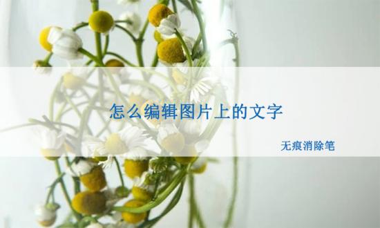 怎么编辑图片上的文字?这样就给给图片加上文字!