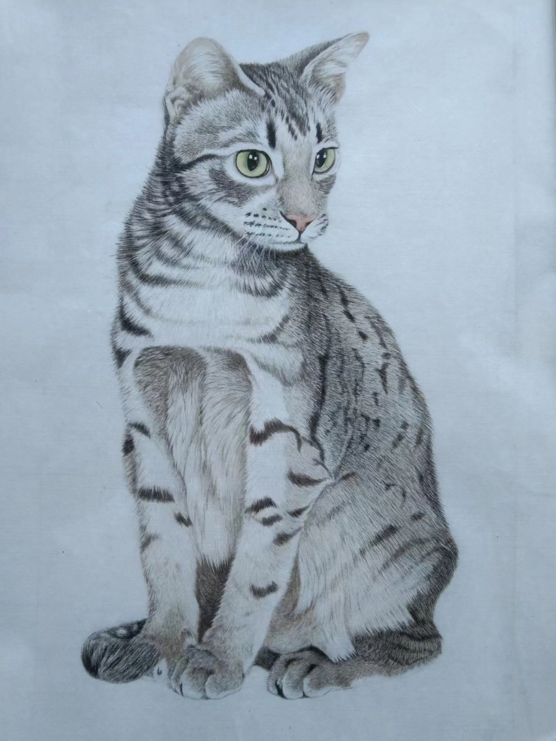 湯新法水墨猫画系列作品:张张惊艳,栩栩如生!