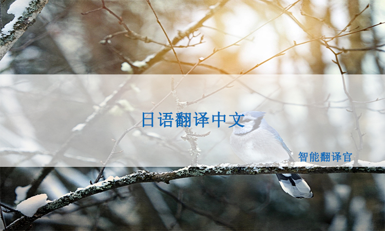 轻小说上的日语怎么准确地翻译成中文?