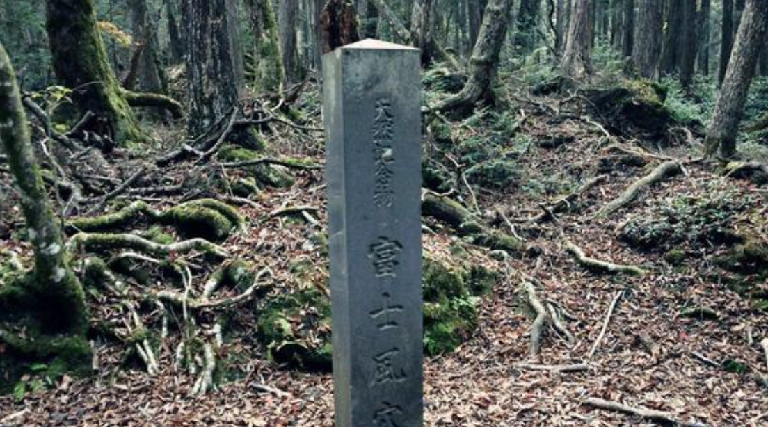 青木原树海死者图片图片