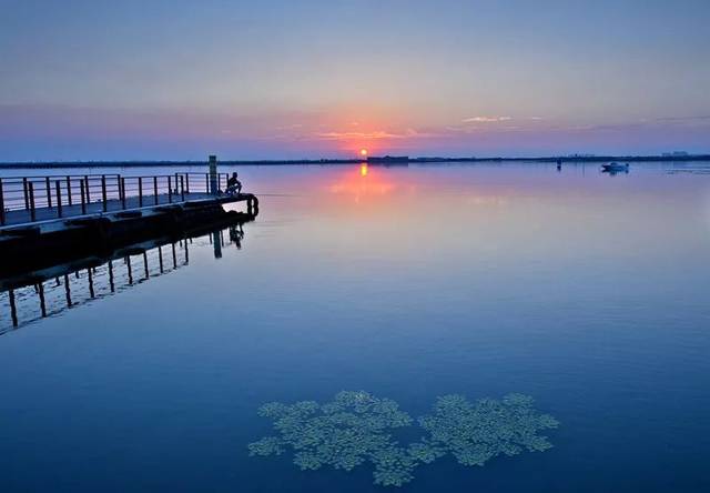 阳澄湖莲花岛吃大闸蟹哪家好 寻味正宗阳澄湖吃蟹农家乐