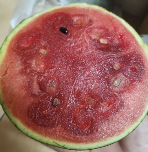 西瓜挑选指南:警惕这种"水晶瓜"!