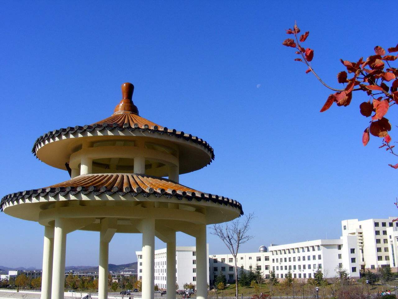 换帅!山东省泰山学院迎来48岁新校长,博士研究生学历