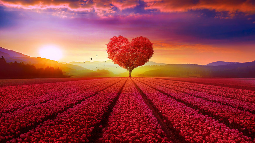 暗恋一个人通常有以下这四种表现