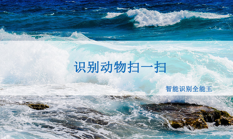 识别动物扫一扫,路边看见小动物可以用这个识别