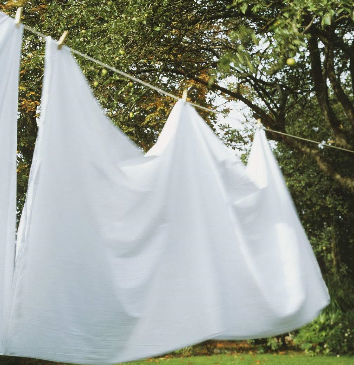 篮球明星杨敬敏被爆出轨女粉丝,爆料人称时间才3秒,女方后悔了