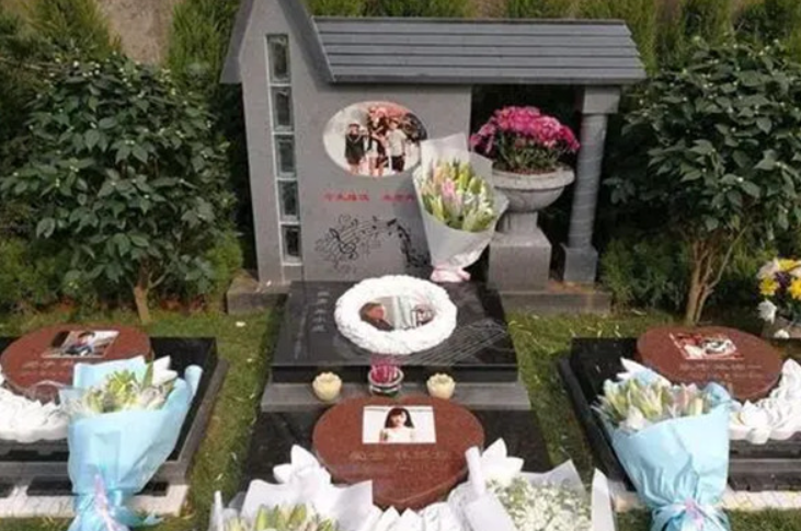 故事:杭州保姆纵火案反转:火灾后,林生斌成了"人生赢家",卷钱移民