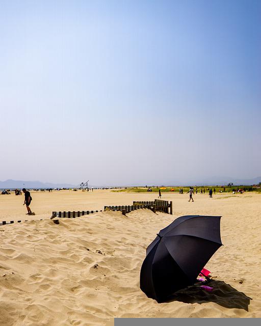 奉化莼湖向阳海岸沙滩图片