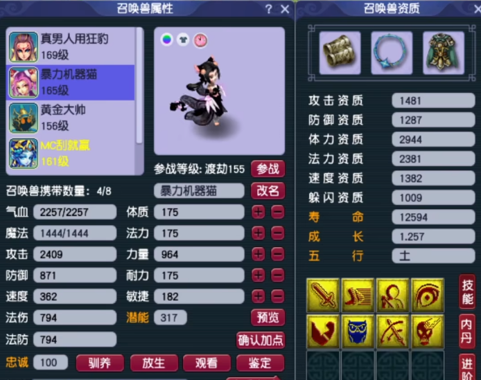 梦幻西游:玩家连续给心仪的人形猫灵进阶,成功率高达100%!