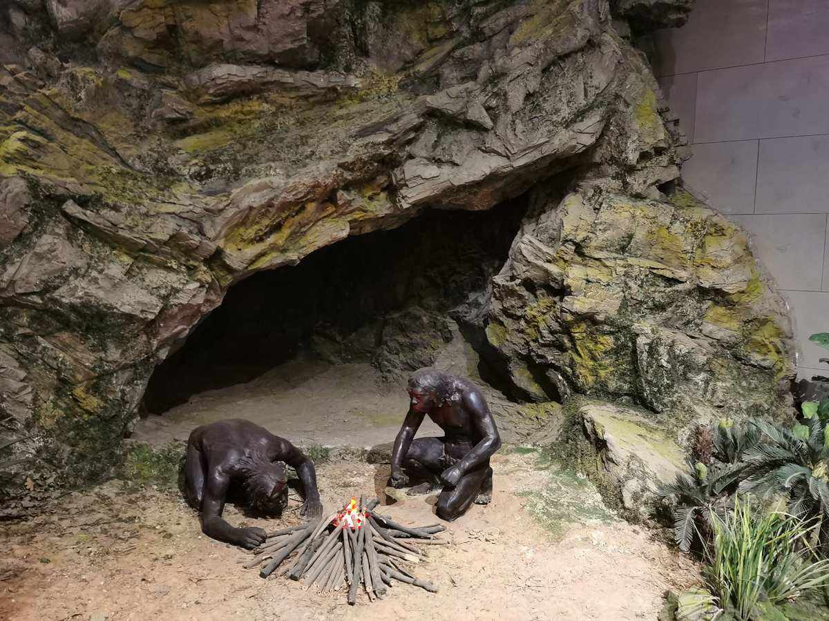 探究人类驯火历程:北京人发现天然火,开启支配自然力之路