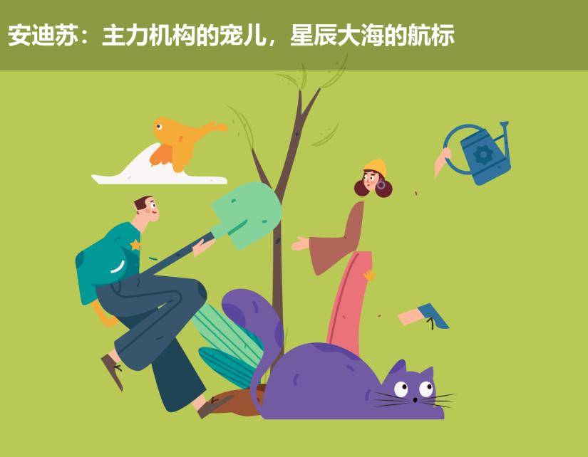 安迪苏:主力机构的宠儿,星辰大海的航标