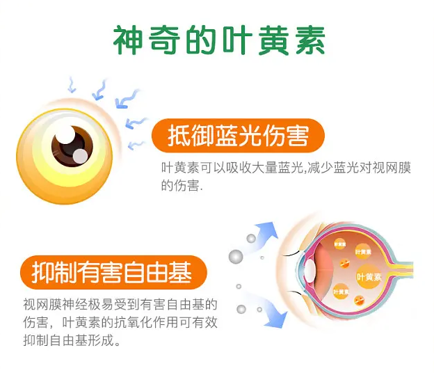 「叶黄素」对保护视力有很大的作用!怎么补比较好?一次性说清!