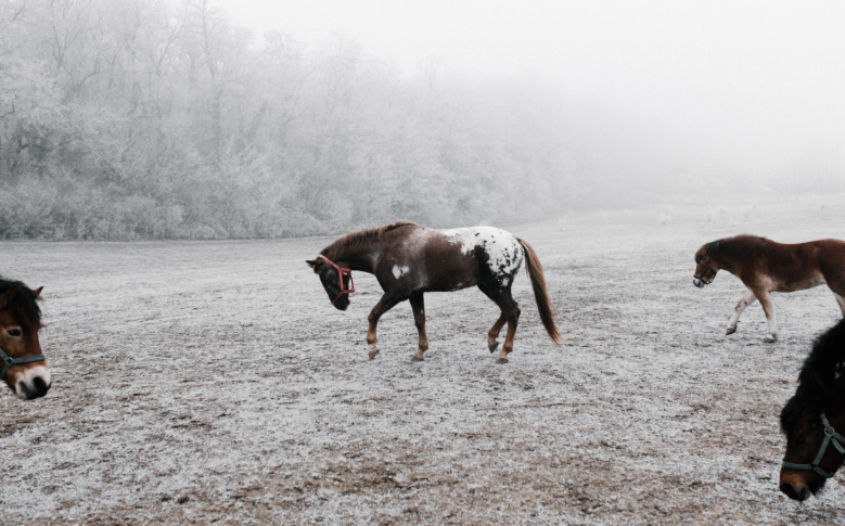 spss26中文版免费下载安装及破解教程:数据分析必备的统计软件